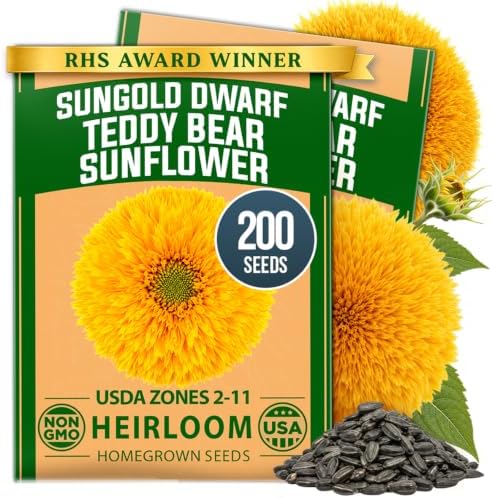 HOME GROWN Dwarf Sunflower Seeds, Teddy Bear, 200 Seeds, Helianthus annuus by HOMEGROWN