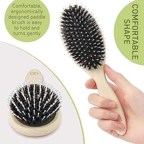 Natural Boar Bristle Hair Brush for Women, Men, Kids; Dry and Wet Detangling Hair Brush Gently Enhances Shine, Smooths Frizz and Prevents Breakage in Fine and Straight, Thick and Curly Hair (oval) - Image 5