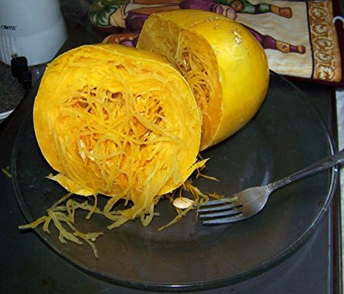 Seeds Zucchini Spaghetti - Heirloom Vegetable - GMO Free - Image 7