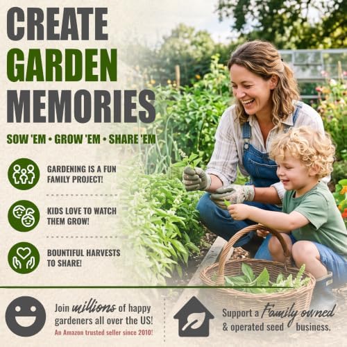 Seed Needs Lime Basil Seeds to Plant an Herb Garden - 2 Packs - Image 6