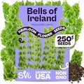 SVI 250 Bells of Ireland Seeds (Moluccella laevis) – Irish Bell Seed Packets, Green Bell – Cut Annual Flower Seeds Packets for Fresh or Dried Arrangements, Flower Garden, Containers, Outdoor Garden by SVI