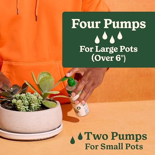 Miracle-Gro Indoor Plant Food for Cactus & Succulent, 8 fl. oz. (24-Pack) - Image 5