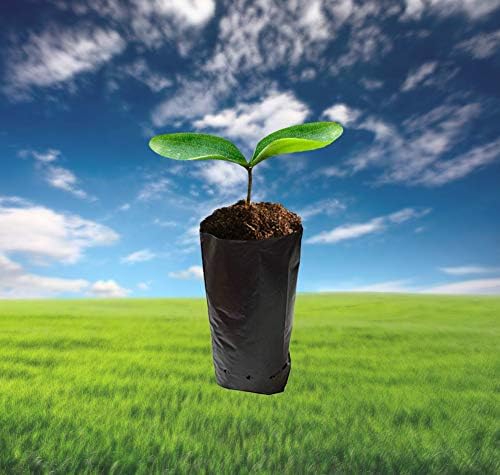 100 PCS Nursery Bags for Plants Fruit Flower, 7.87x15.75 in - Image 3