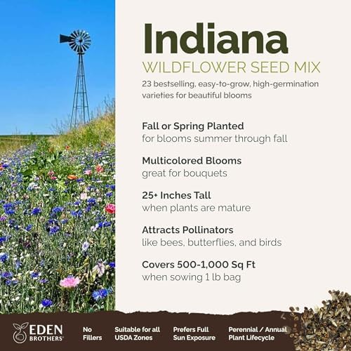 Eden Brothers Indiana Wildflower Mixed Seeds for Planting, 1 lb - Image 2
