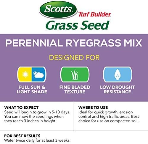 Scotts Turf Builder Grass Seed Perennial Ryegrass Mix, Ideal for High Traffic Areas and Erosion Control, 7 lbs. - Image 2