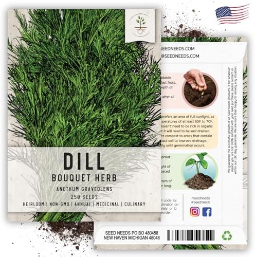 Seed Needs Bouquet Dill Seeds to Plant an Herb Garden - 1 Pack - Image 6