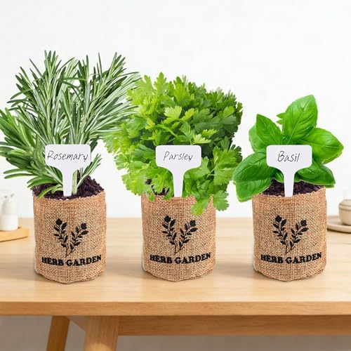 Meekear 5 Herb Indoor Starter Kit, Complete Planting Set for Kitchen Herb Garden DIY & Gift - Image 6