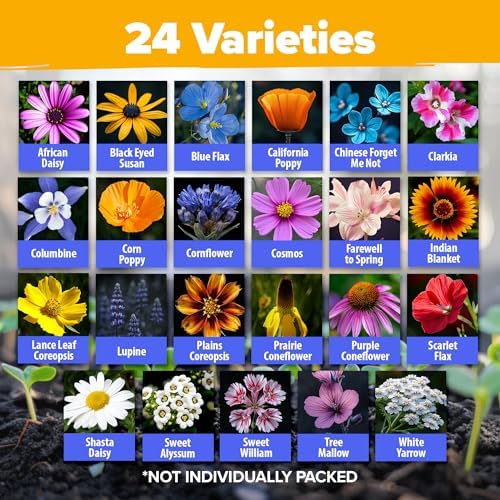 HOME GROWN 24 Wildflower Variety Mix 60,600+ Flower Seeds 2 oz - Image 2