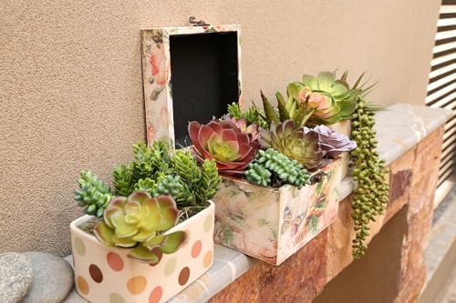 DECOROUS Artificial Succulents Plants Unpotted -14 Pack– Large Fake Succulent Plant Indoor Outdoors – Realistic Faux Cactus Suculentas Bulk for Home DIY Décor – Small Desert Plastic Cacti Succulants - Image 4