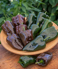 Burpee Poblano' (Ancho) 4" Heart-Shaped Dark Green to Red Peppers, 100 seeds by Burpee