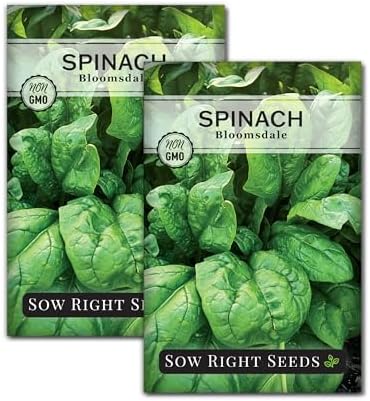 Sow Right Seeds - Bloomsdale Spinach Seed for Planting Vegetable Garden 2pk by SowRightSeeds