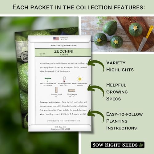Sow Right Seeds - Zucchini Seed Collection for Planting Summer Squash - Image 2