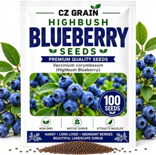 Highbush Blueberry Seeds for Planting | Sweet Berry Shrub | 100 Seeds by CZGrain