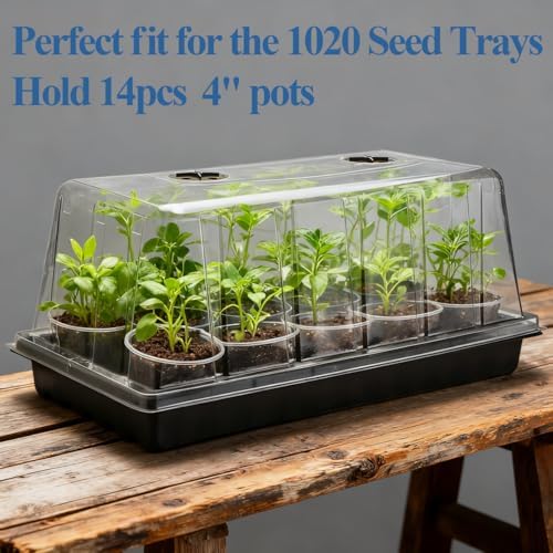 RooTrimmer 5-Pack 1020 Seed Starting Trays with Tall 7.3" Dome, No Hole - Image 4