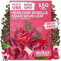 150 Roselle Heirloom Flower Seeds for Planting, Hibiscus Sabdariffa by KVITER