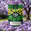 Blue Jacaranda Tree Seeds, Blue-Violet Blooming Ornamental Deciduous Trees by Unknown