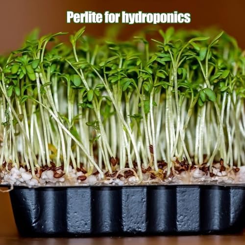 Horticultural Perlite for Plants 2qt, All Natural Horticultural Soil Additive Conditioner Mix, Improve Ventilation and Drainage, Enhance Soil Health and Root Growth - Image 2