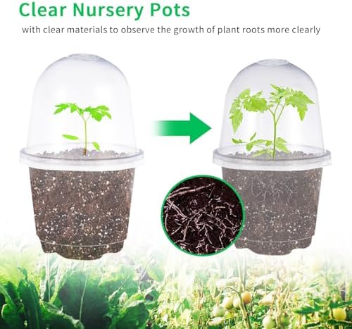 JOPY 4 Inch Plastic Nursery Pots with Humidity Dome for Plants Clear Seed Starter Pots Seedlings Planting Pots for Garden Indoor and Outdoor Small Planter Containers with Drainage Holes (10 Pack) - Image 6