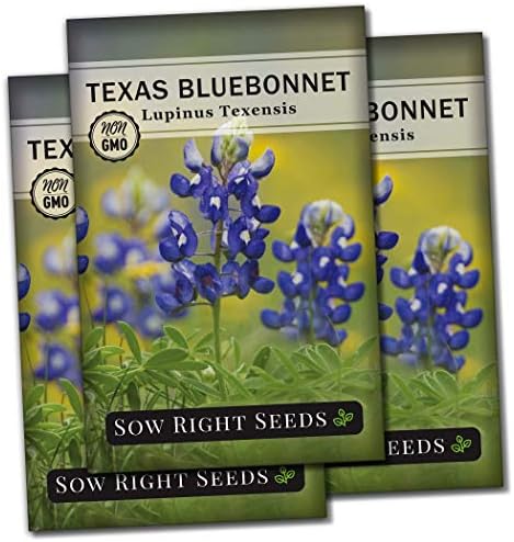 Sow Right Seeds - Texas Bluebonnet Seed for Planting Wildflower Garden 3pk by SowRightSeeds