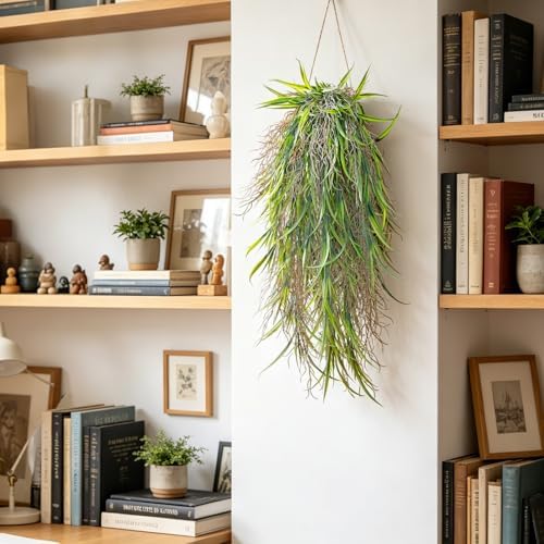 4Pcs Fake Hanging Fern Plants for Outdoors, UV Resistant Artificial Ferns Greenery Vines Faux Trailing Plants for Indoor Wall Porch Wedding Boho Home Garden Decor(4PCS WhiteGreen Leaves) - Image 2