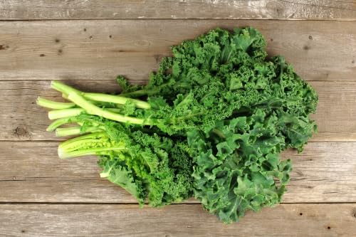 960+ Dwarf Kale Seeds for Planting -Heirloom Non GMO - Image 3