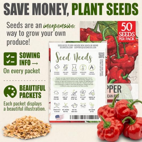 Seed Needs Jamaican Red Hot Pepper Seeds to Plant Vegetables - 20 Packs - Image 3