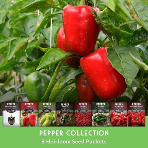 Pepper Seeds Collection - 8 Variety Pack for Planting - Image 3