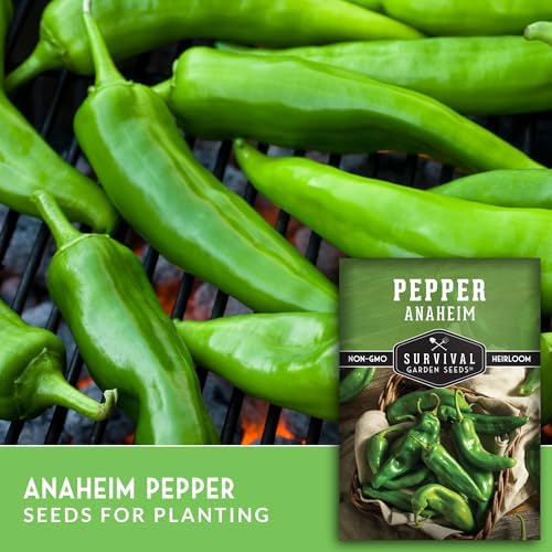 Anaheim Chili Pepper Seeds for Planting - 5 Packs - Image 3