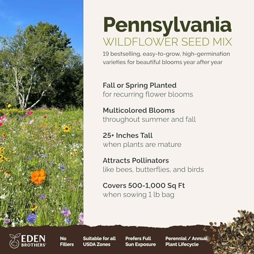 Eden Brothers Pennsylvania Wildflower Mixed Seeds for Planting, 1 lb - Image 2