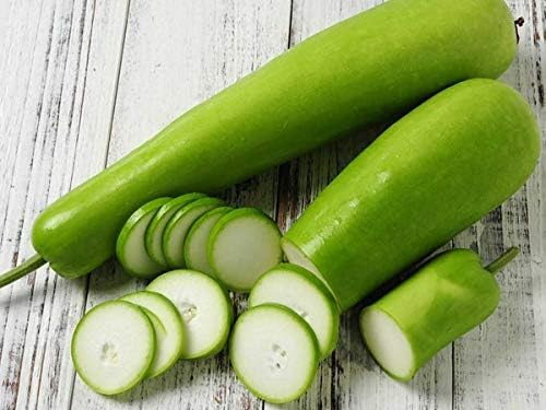 Gaea's Blessing Seeds - Bottle Gourd Seeds - Opo Squash - Non-GMO Seeds with Easy to Follow Planting Instructions - NAM Tao Yao Heirloom 94% Germination Rate - Image 3