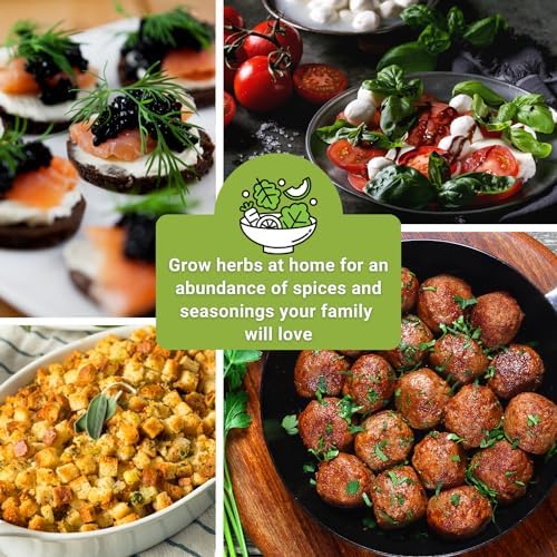 Sow Right Seeds - 15 Herb Seed Collection for Planting Indoor Herbs Garden - Image 5