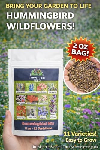 Hummingbird Wildflower Seed Mix (2oz) Bright, Nectar-Rich Blooms that Attract Hummingbirds & Pollinators - Image 3