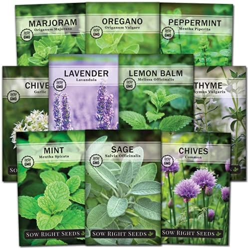 Sow Right Seeds - Perennial Herb Seed Collection for Planting Home Garden by SowRightSeeds