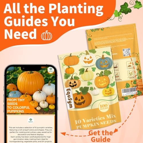Mix Pumpkin Seeds for Planting 10 Variety, 100 Heirloom Vegetable Seeds - Image 4