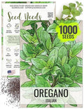 Seed Needs Italian Oregano Seeds to Plant an Herb Garden - 1 Pack by SeedNeeds