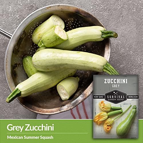 Grey Zucchini Seeds for Planting - 3 Packs - Image 3