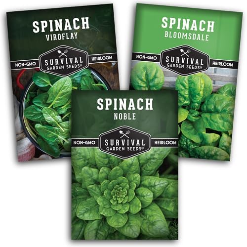Spinach Seeds Variety Pack for Planting by SurvivalGardenSeeds