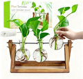 Plant Propagation Station, Plant Terrarium with Wooden Stand by Renmxj