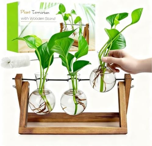 Plant Propagation Station, Plant Terrarium with Wooden Stand by Renmxj