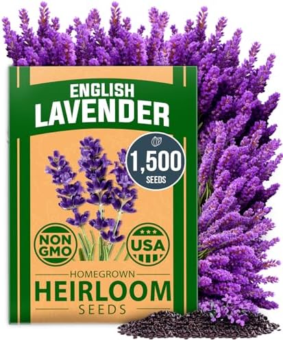 HOME GROWN Lavender & Sunflower Seed Kit – 2-Pack with 1,500 English Lavender & 520+ Mammoth Sunflower Non-GMO USA Seeds – Indoor & Outdoor Wildflower Garden Set – Easy to Grow, Heirloom Flowers - Image 5