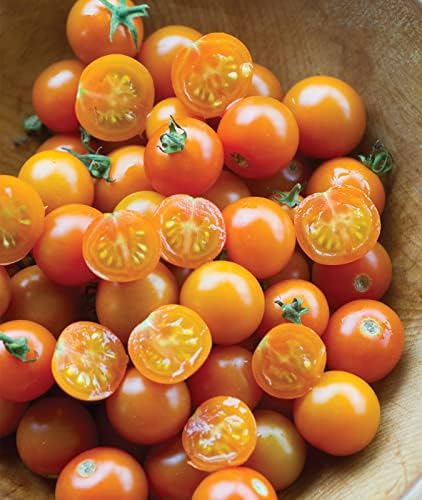 Burpee 'Sun Gold' Hybrid, Sweet Orange Cherry Tomatoes, 30 Non-GMO Seeds by Burpee