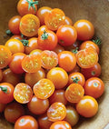 Burpee 'Sun Gold' Hybrid, Sweet Orange Cherry Tomatoes, 30 Non-GMO Seeds by Burpee