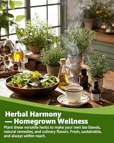 36 Medicinal Herb Seeds Variety Pack, Non-GMO Herbal Tea Garden Seeds - Image 7