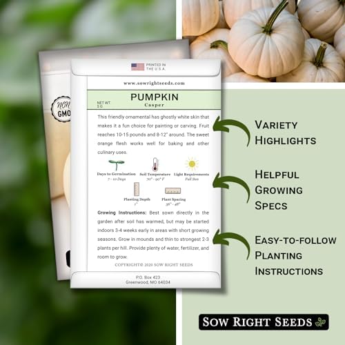 Sow Right Seeds-Casper Pumpkin Seed for Planting Outdoor White Pumpkins 3pk - Image 2