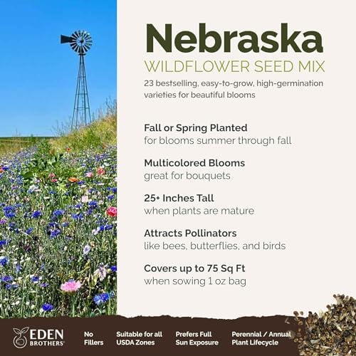 Eden Brothers Nebraska Wildflower Mixed Seeds for Planting, 1 oz - Image 2