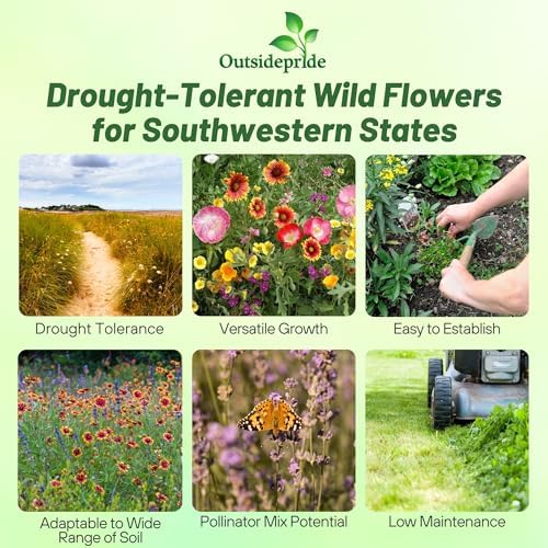 Outsidepride Southwest Wild Flower Seed Mix - 1/4 lb. Heat & Drought Tolerant Premium Blend of Annual & Perennial Wildflower Seeds for Planting on Outdoor Lawns & Gardens from Spring to Fall - Image 3
