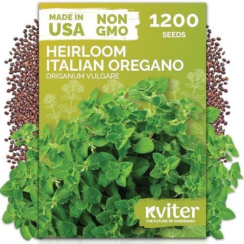 1,200 Italian Oregano Heirloom Herb Seeds for Planting, Origanum Vulgare by KVITER