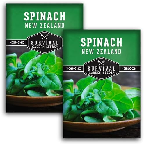 New Zealand Spinach Seeds for Planting - 2 Packs by SurvivalGardenSeeds