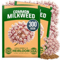 HOME GROWN Common Milkweed Seeds, 150 Seeds, Asclepias syriaca by HOMEGROWN