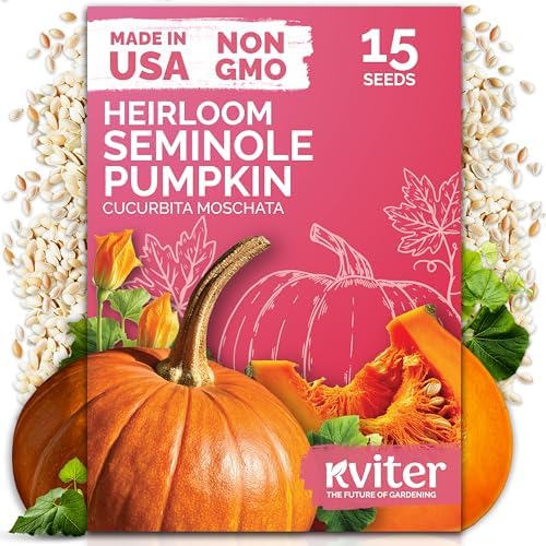 15 Seminole Pumpkin Heirloom Vegetable Seeds, Cucurbita Moschata by KVITER